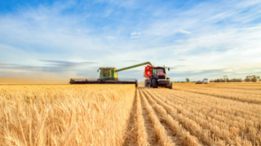 El Gobierno elimina retenciones a todos los granos hasta el 31 de octubre
