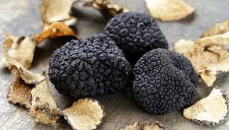 Caza de trufas negras y degustación en Espartillar: una experiencia única en Argentina