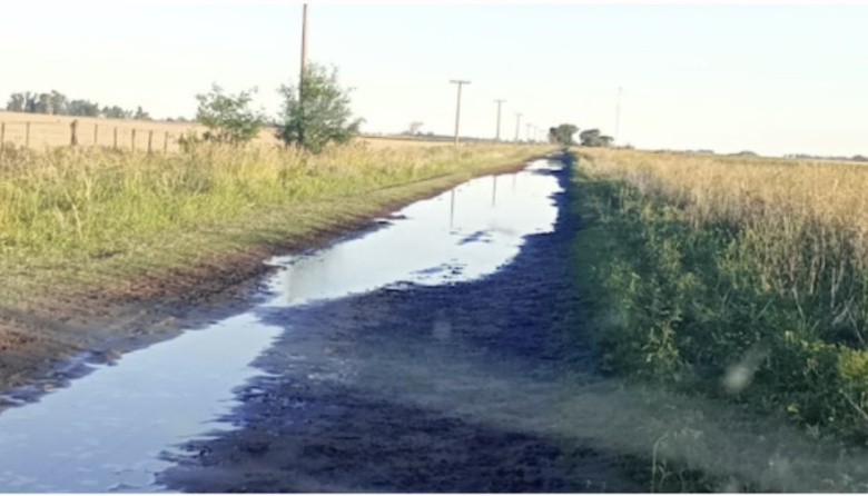 La Justicia ordenó devolver cobros por tasa vial en Daireaux y fijó un precedente