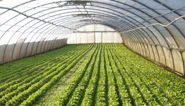 La Provincia vuelve a censar a los productores hortiflorícolas después de 20 años