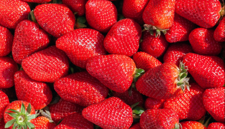 Asado, frutillas, pato y Bersuit: 30 planes para no quedarse en casa este fin de semana