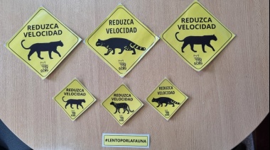 Implementan una campaña para bajar la velocidad en la ruta para salvar a los carnívoros