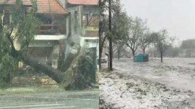 Fuerte tormenta con granizo y viento en Bahía Blanca