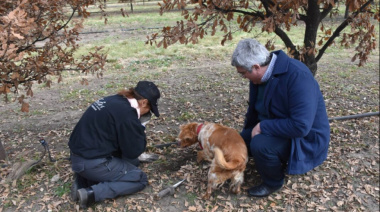 La Provincia presentó un programa para impulsar la industrialización en el sudoeste bonaerense