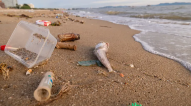 Alarma ambiental en la costa bonaerense: casi el 80% de los residuos encontrados son plásticos