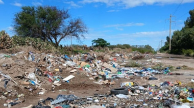 Microbasurales en Bahía Blanca: impulsan el secuestro de vehículos infractores