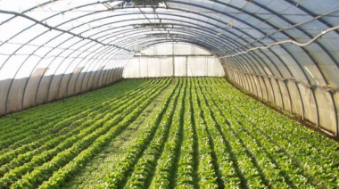 La Provincia vuelve a censar a los productores hortiflorícolas después de 20 años