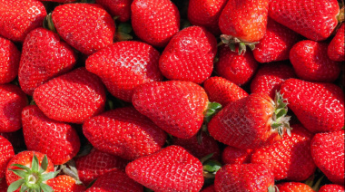 Asado, frutillas, pato y Bersuit: 30 planes para no quedarse en casa este fin de semana