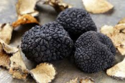Caza de trufas negras y degustación en Espartillar: una experiencia única en Argentina
