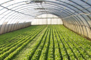La Provincia vuelve a censar a los productores hortiflorícolas después de 20 años