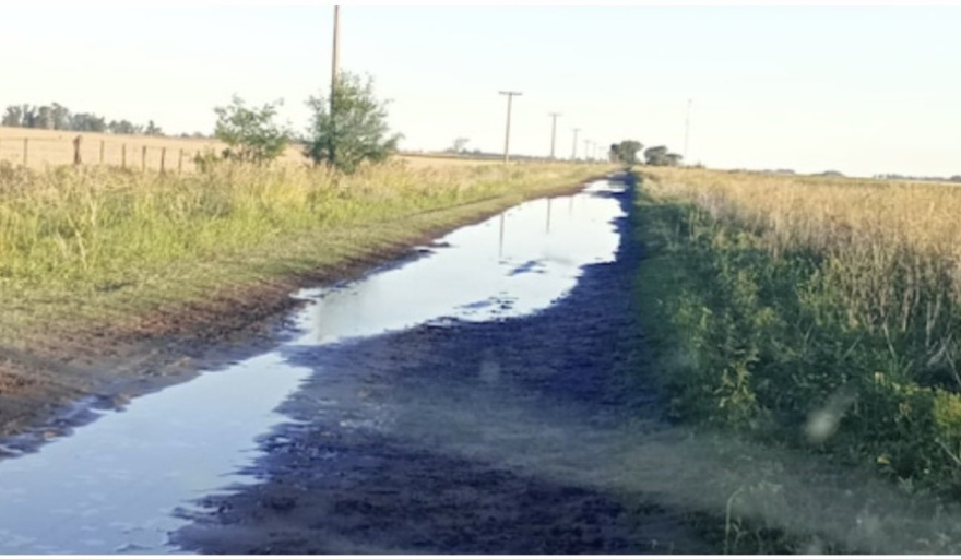 La Justicia ordenó devolver cobros por tasa vial en Daireaux y fijó un precedente